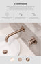 Meir Glass to Wall Shower Door Hinge - Champagne