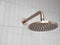 Meir Round Shower Rose 200mm - Champagne